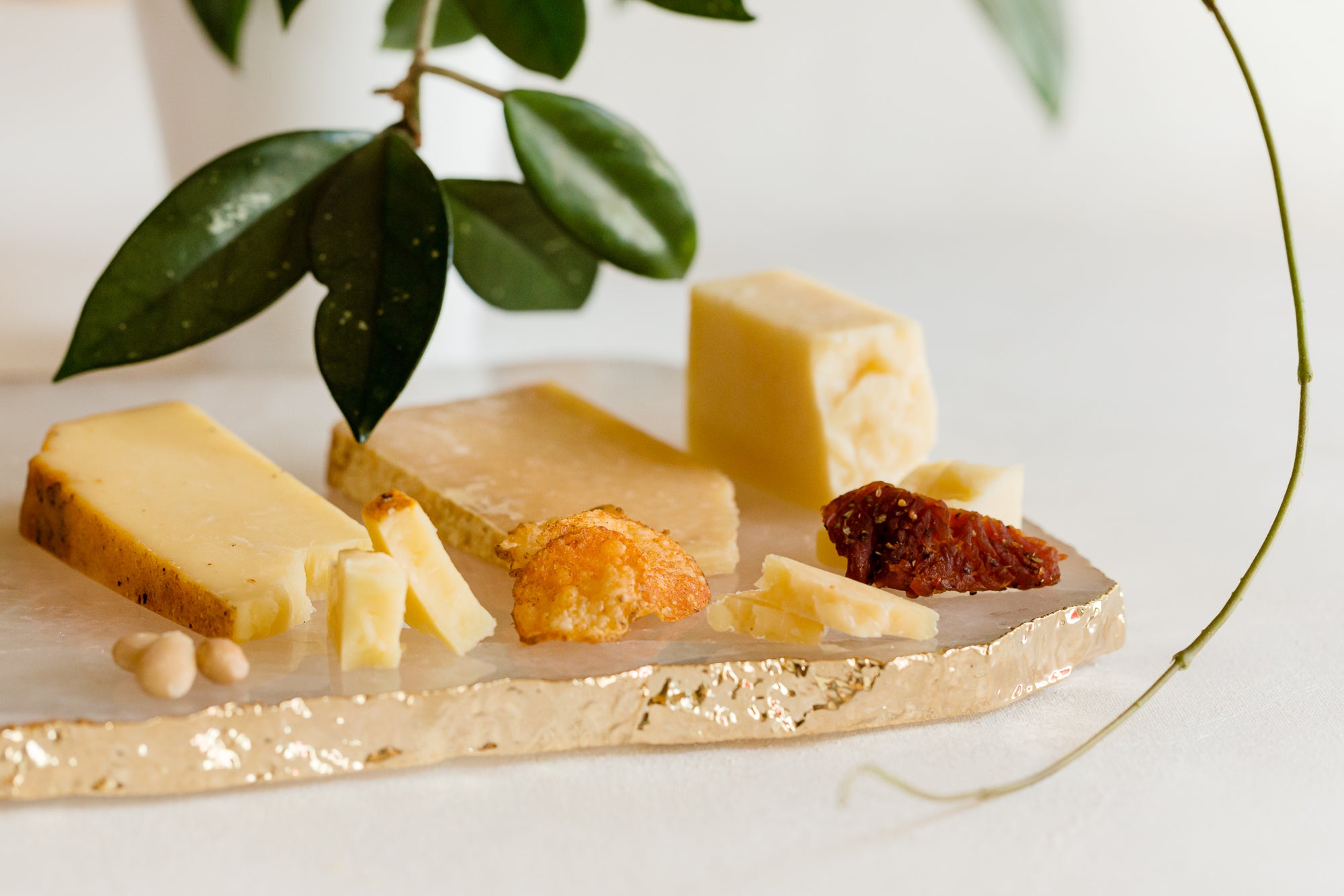 Photo contest for Curdbox | August 2020